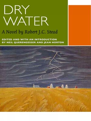 cover image of Dry Water